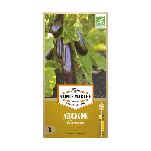 GRAINES AUBERGINE DE BARBENTANE BIO