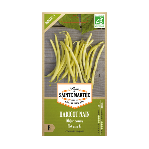 GRAINES HARICOT NAIN MAJOR MANGETOUT BIO - 10G