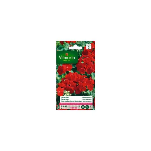 Sélection extérieur：Graines de Géranium Éclat rouge HF2 Vilmorin graines d’exception - graines à semer