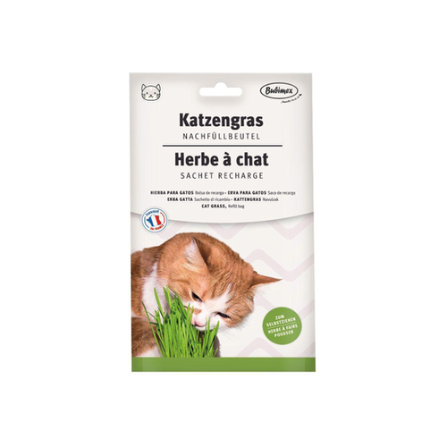 RECHARGE HERBE À CHAT BUBIMEX® - 100G