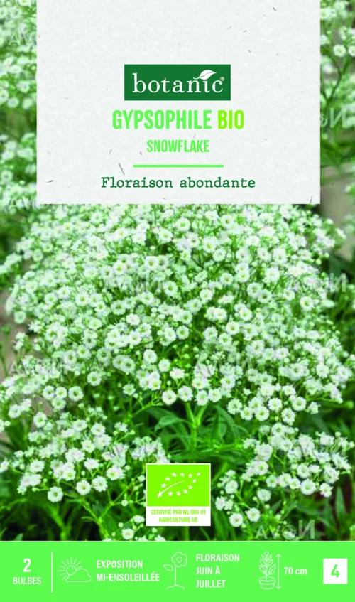 Facile jardin:Bulbes de fleurs Gypsophile paniculata Snowflake bio botanic® - 2 bulbes