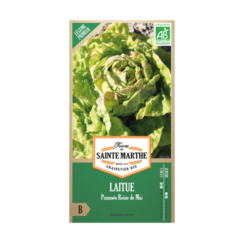 GRAINES LAITUE POMMÉ REINE DE MAI BIO