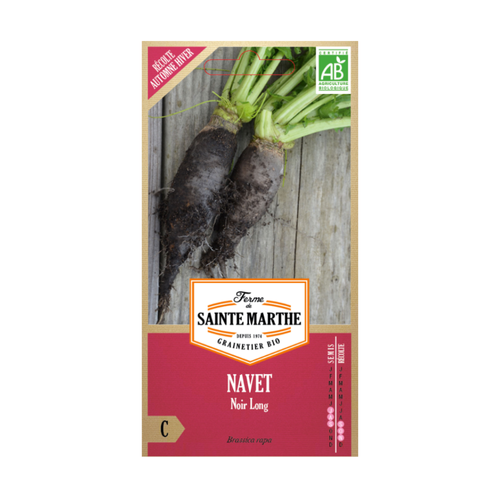 GRAINES NAVET NOIR LONG BIO