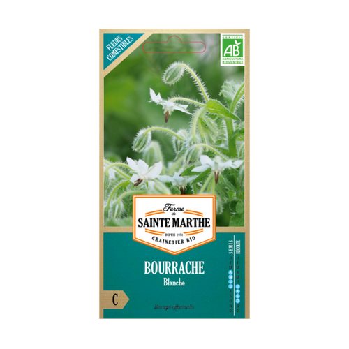 GRAINES BOURRACHE BLANCHE BIO