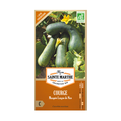 GRAINES COURGE MUSQUÉE LONGUE DE NICE BIO