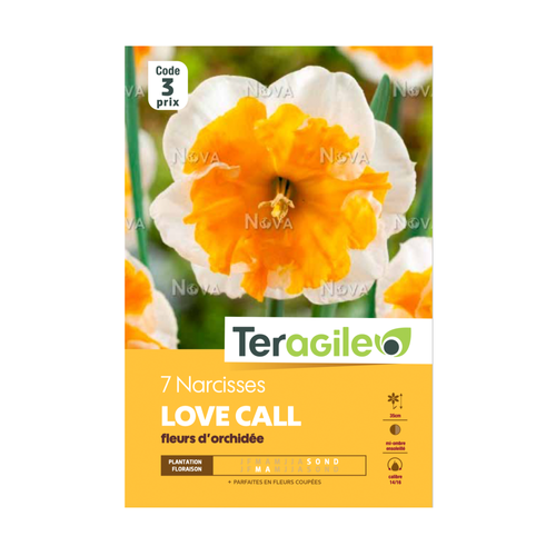 BULBES DE NARCISSES 'LOVE CALL' FLEURS D'ORCHIDÉE - TERAGILE® - X7