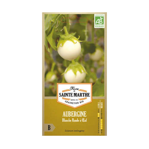 GRAINES AUBERGINE BLANCHE RONDE À OEUF BIO