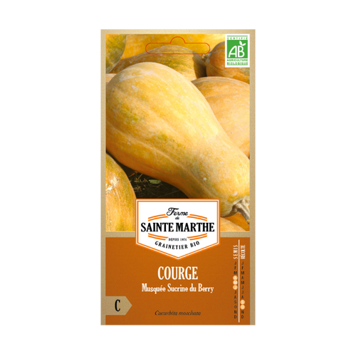 GRAINES COURGE MUSQUÉE SUCRINE DU BERRY BIO