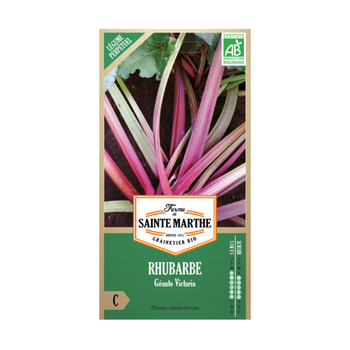 GRANIES RHUBARBE GÉANTE VICTORIA BIO
