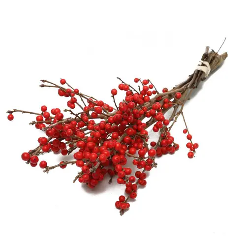 Jardin quotidien：Botte de houx d’ilex Verticilta coloris rouge – 5 tiges