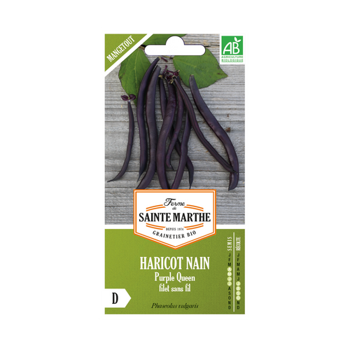 GRAINES HARICOT NAIN PURPLE QUEEN FILET SANS FIL MANGETOUT BIO - 80G