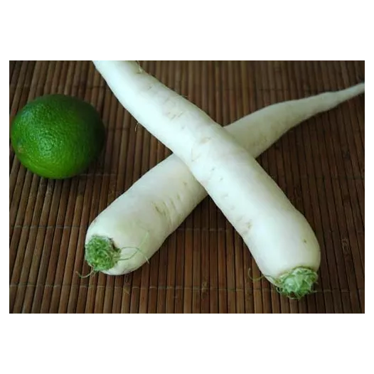 Graines bio de Radis Daikon "Minowase Summer Cross"