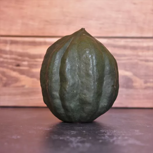 Biologische zaden van Pompoen Royal Acorn