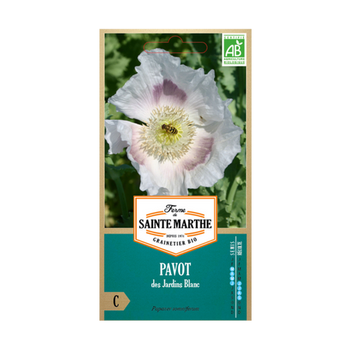 GRAINES PAVOT DES JARDINS BLANC BIO