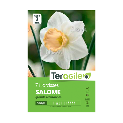 BULBES DE NARCISSES 'SALOME' GRANDES COURONNES - TERAGILE® - X7