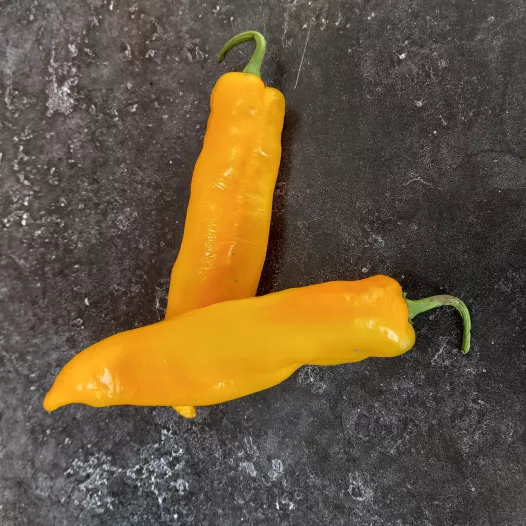 Paprika lolly van Hyerès organisch en reproduceerbaar