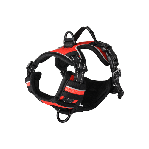 HARNAIS POUR CHIEN BALOU FLAMINGO® - ROUGE - XS