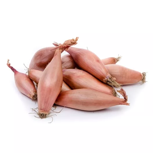 Plants bio : Echalote Longor - 500gr
