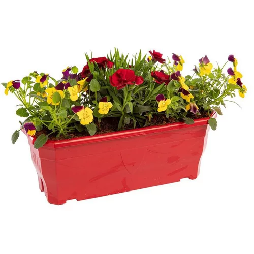 Vie extérieure：Jardinière printanière de Viola et Œillet à fleurs multicolores - La jardinière de 30 cm
