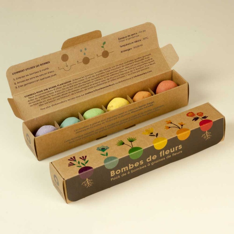 Pack de graines en bombe de 6 fleurs sauvages