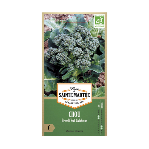 GRAINES CHOU BROCOLI VERT CALABRESE NATALINO BIO