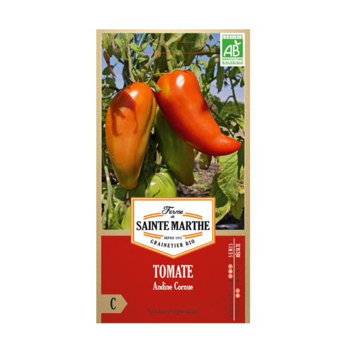GRAINES TOMATE ANDINE CORNUE BIO