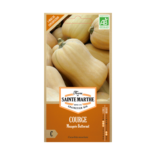 GRAINES COURGE MUSQUÉE BUTTERNUT BIO