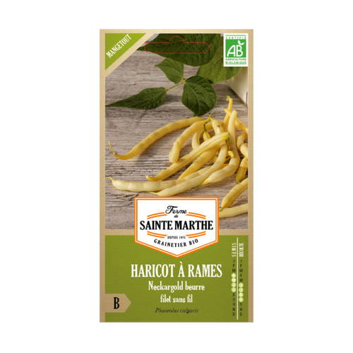 GRAINES HARICOT À RAMES NECKARGOLD MANGETOUT BIO - 10G