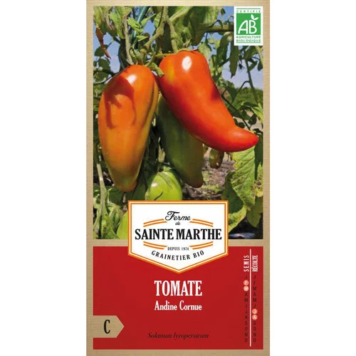 Idéal pour le jardin：Graines de tomate andine cornue bio Ferme de Sainte Marthe - graines à semer