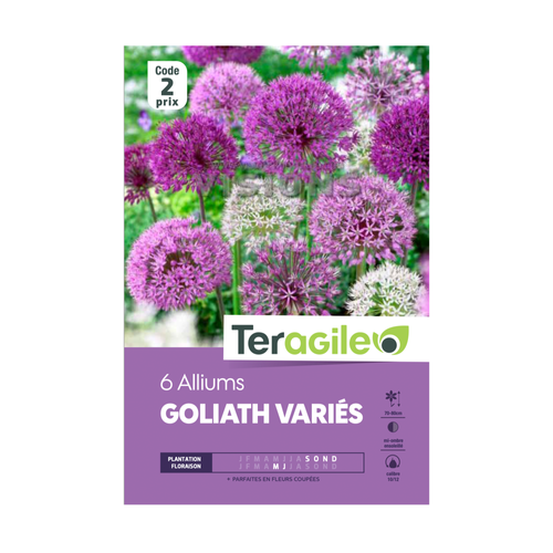 BULBES D'ALLIUMS 'GOLIATH' VARIÉS- TERAGILE® - X6
