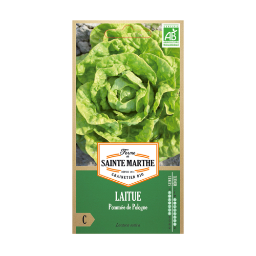 GRAINES LAITUE POMMÉE DE POLOGNE BIO