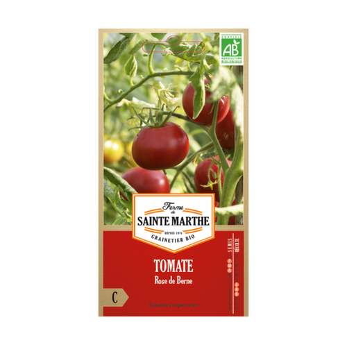 GRAINES TOMATE ROSE DE BERNE BIO