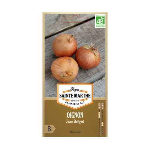 GRAINES OIGNON JAUNE STUTTGART BIO
