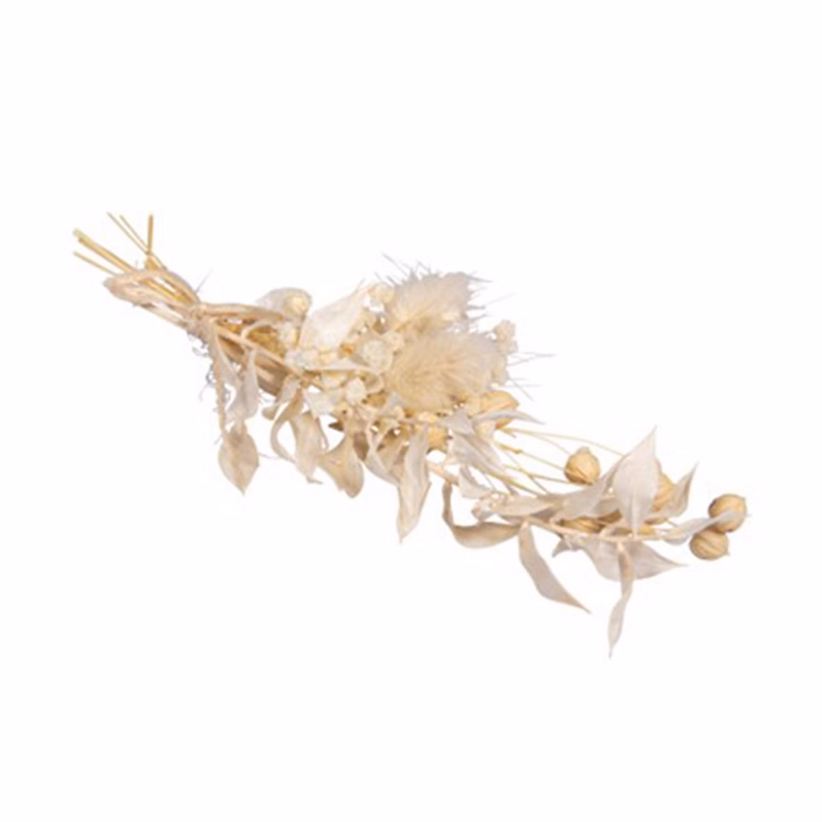 Plantes – Bouquet de fleurs séchées blanches