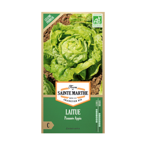 GRAINES LAITUE POMMÉE APPIA BIO