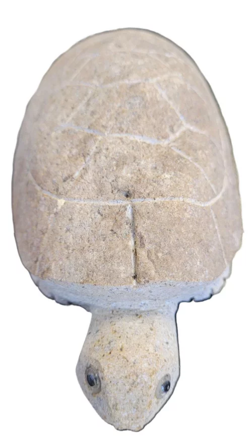 Pour un jardin bien équipé：Tortue en granit taupe Vitis in Situ - 10 cm