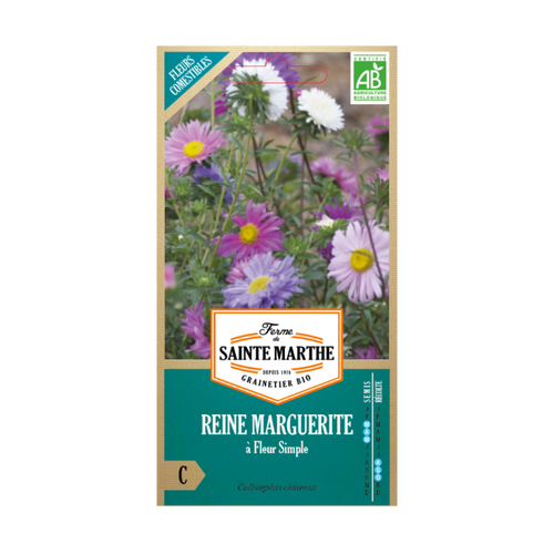 GRAINES REINE MARGUERITE À FLEURS SIMPLES VARIEES BIO