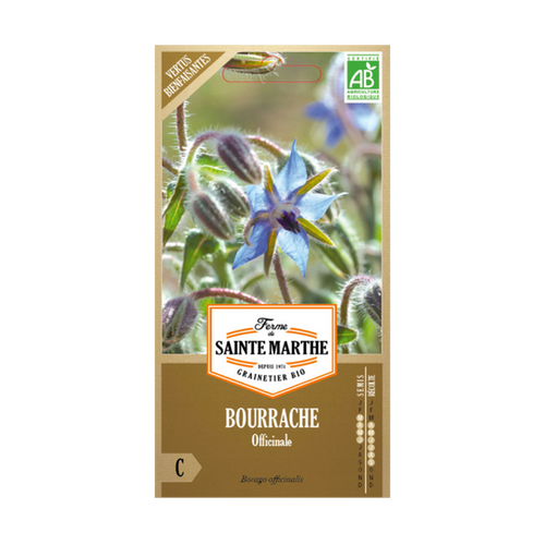 GRAINES BOURRACHE OFFICINALE BIO