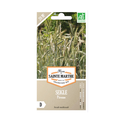 GRAINES SEIGLE PÉRENNE BIO - 150G