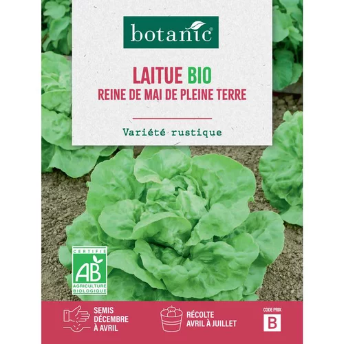 Solution extérieur：Graines de laitue reine de Mai de pleine terre bio botanic® - graines à semer