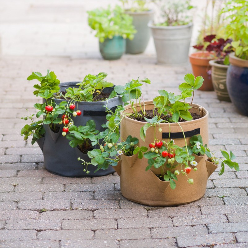 Pot à fraisiers en tissu - 8 poches pour cultiver facilement