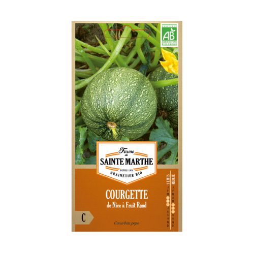 GRAINES COURGETTE DE NICE À FRUIT ROND BIO
