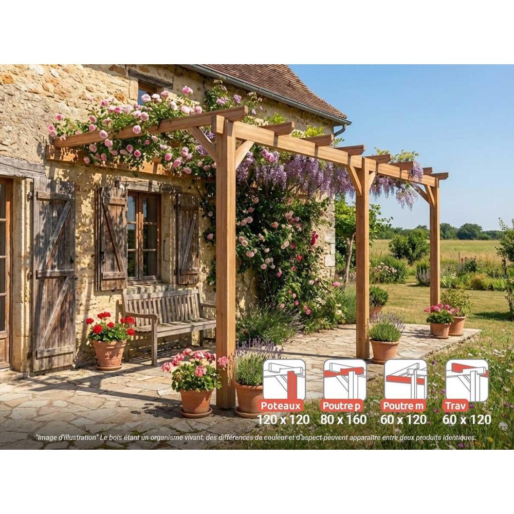 JARDIDECO Pergola adossée en lamellé-collé versailles 600 x 300 cm - maderland