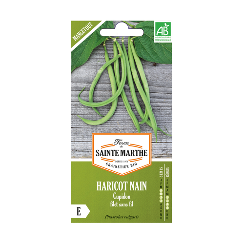 GRAINES HARICOT NAIN CUPIDON FILET SANS FIL MANGETOUT BIO - 80G