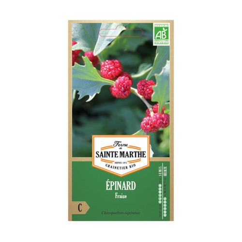 GRAINES ÉPINARD FRAISE BIO
