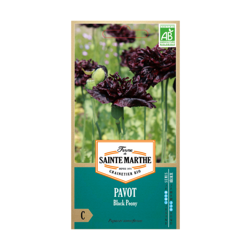 GRAINES PAVOT BLACK PEONY BIO