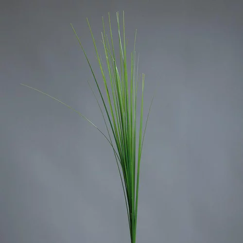 Idéal au jardin:Branche artificielle d’Isolepsis vert clair - 70 cm