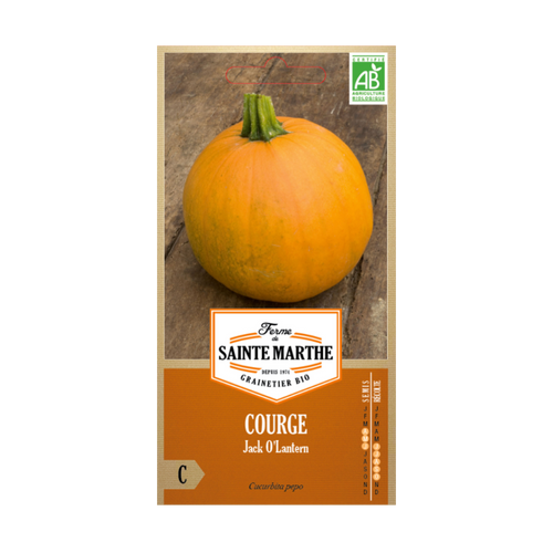 GRAINES COURGE JACK O LANTERN BIO