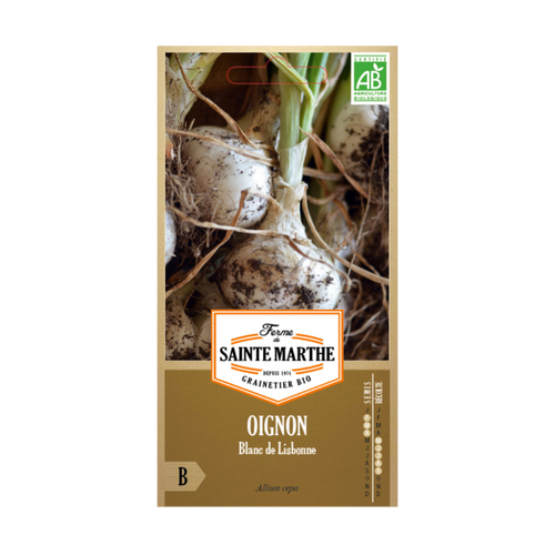 GRAINES OIGNON BLANC DE LISBONNE BIO