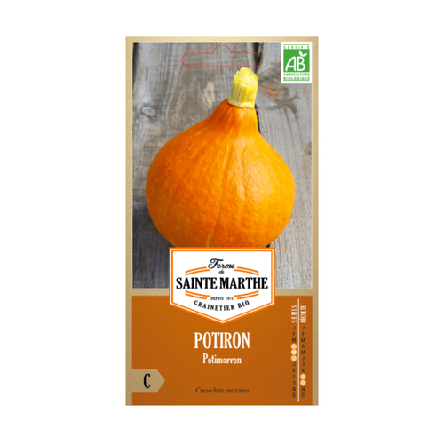 GRAINES POTIRON POTIMARRON BIO